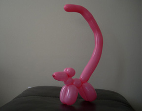 Squirrel Balloon Twisting